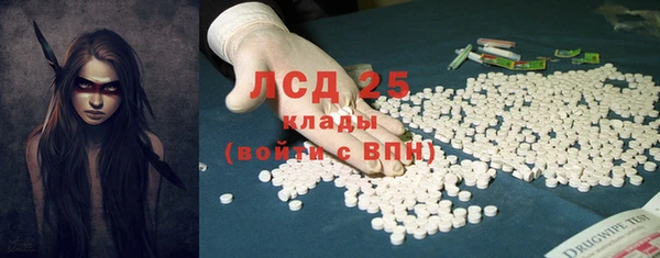 крисы Пересвет