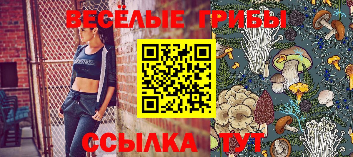 Псилоцибиновые грибы прущие грибы  Сарапул  Псилоцибиновые грибы прущие грибы 