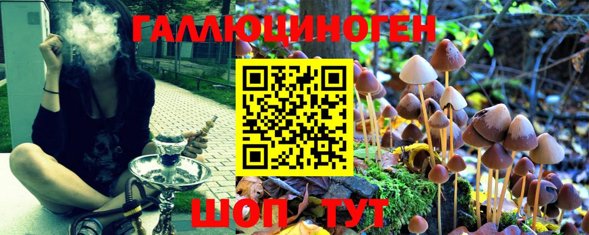 Галлюциногенные грибы ЛСД Сарапул